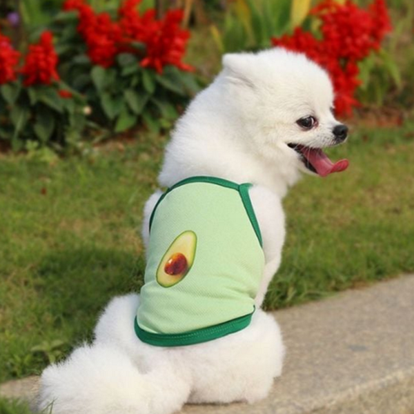 시원한 강아지 옷 여름 고양이 옷 반려동물 나시 민소매 - 상품 이미지