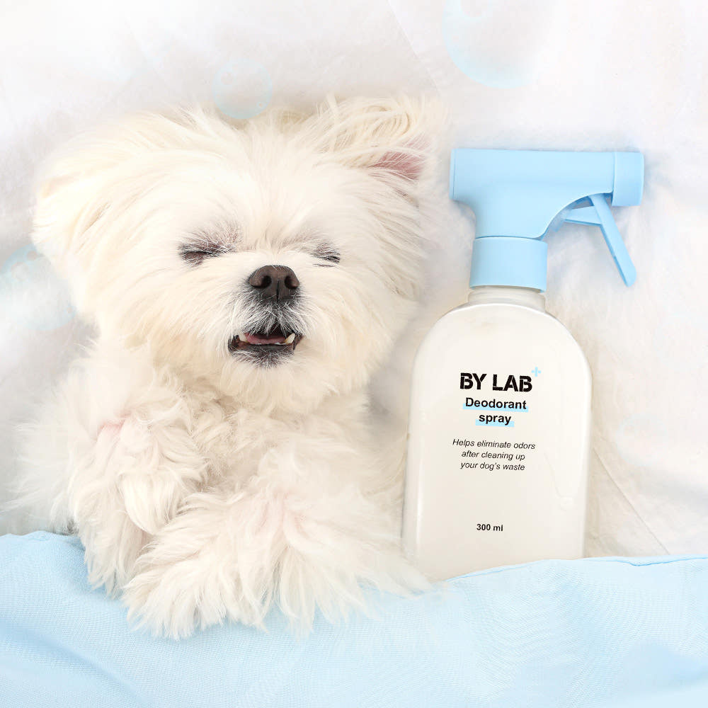 BYLAB 바이랩 강아지 냄새 제거 미생물 탈취제 300ml, 1개