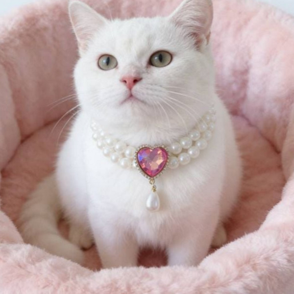 고양이 반려동물 목걸이 펜던트 강아지 목걸이 진주 보석 - 상품 이미지