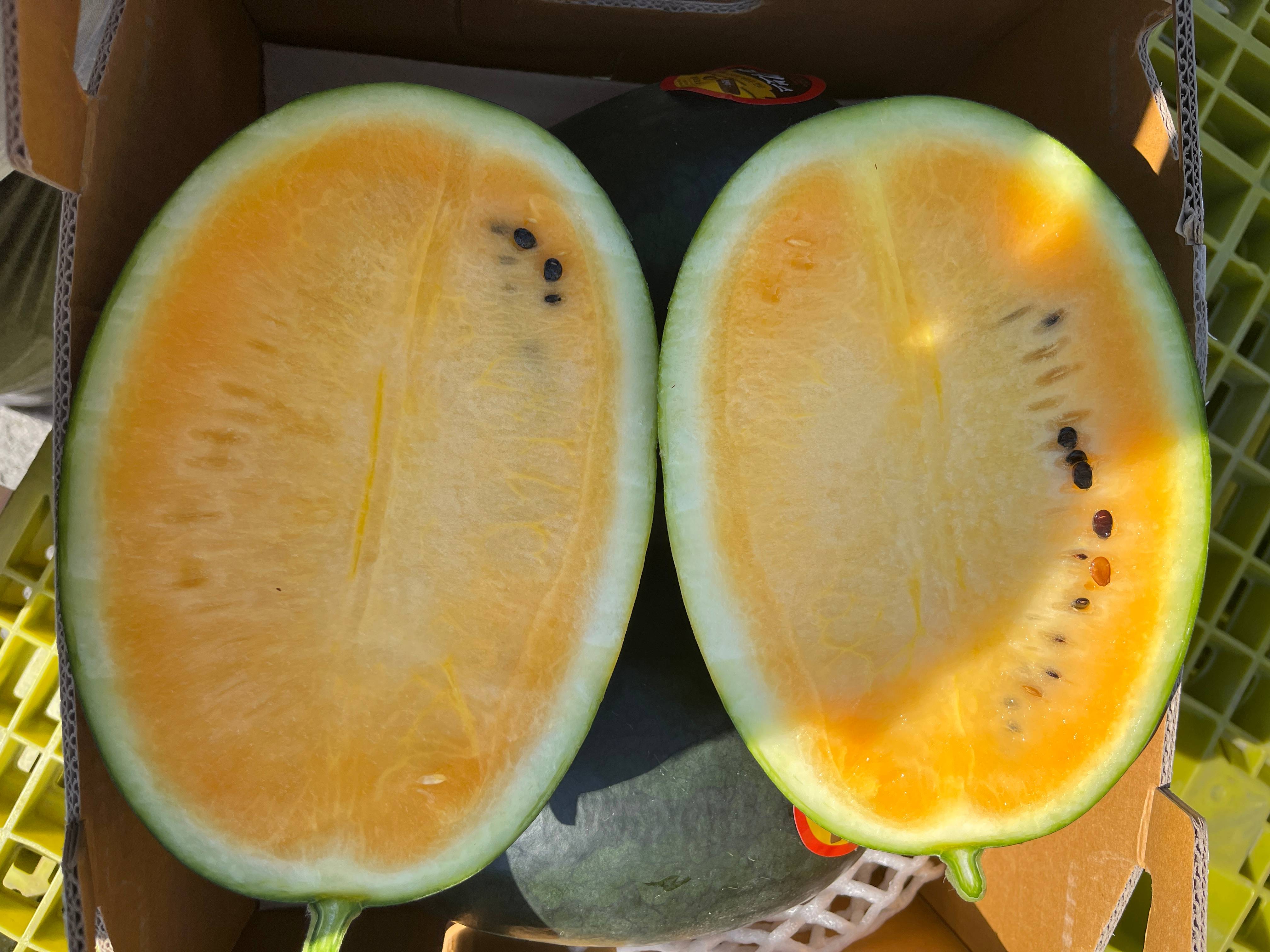 신선마켓 프리미엄 블랙 망고수박 2kg 1통 - 상세 이미지 5