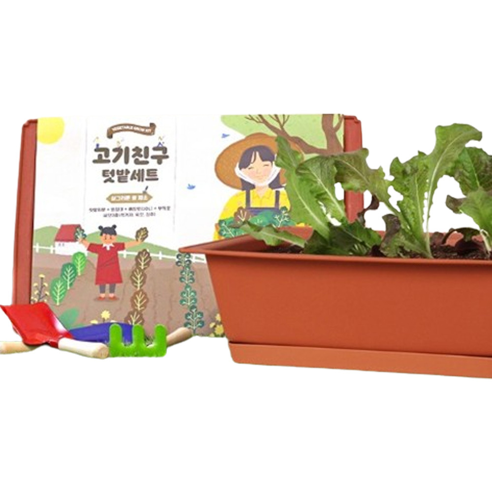 적겨자 상추 쌈채소 씨앗 흙 화분 베란다 텃밭 세트 키우기 식물 재배기 홈가드닝 야채 - 상품 이미지
