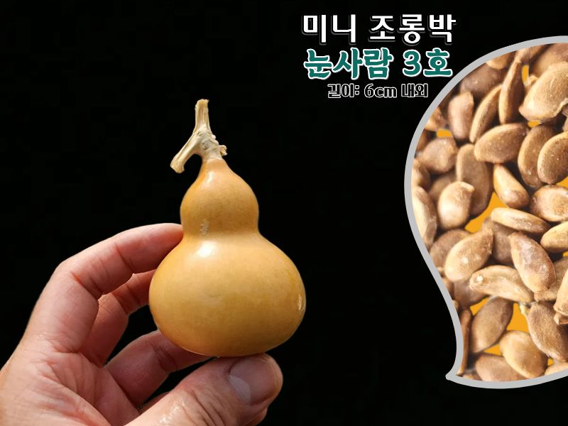 국산 미니 눈사람 모양 조롱박 키링 열쇠고리 공예 재료 씨앗 10립 모종 1포기