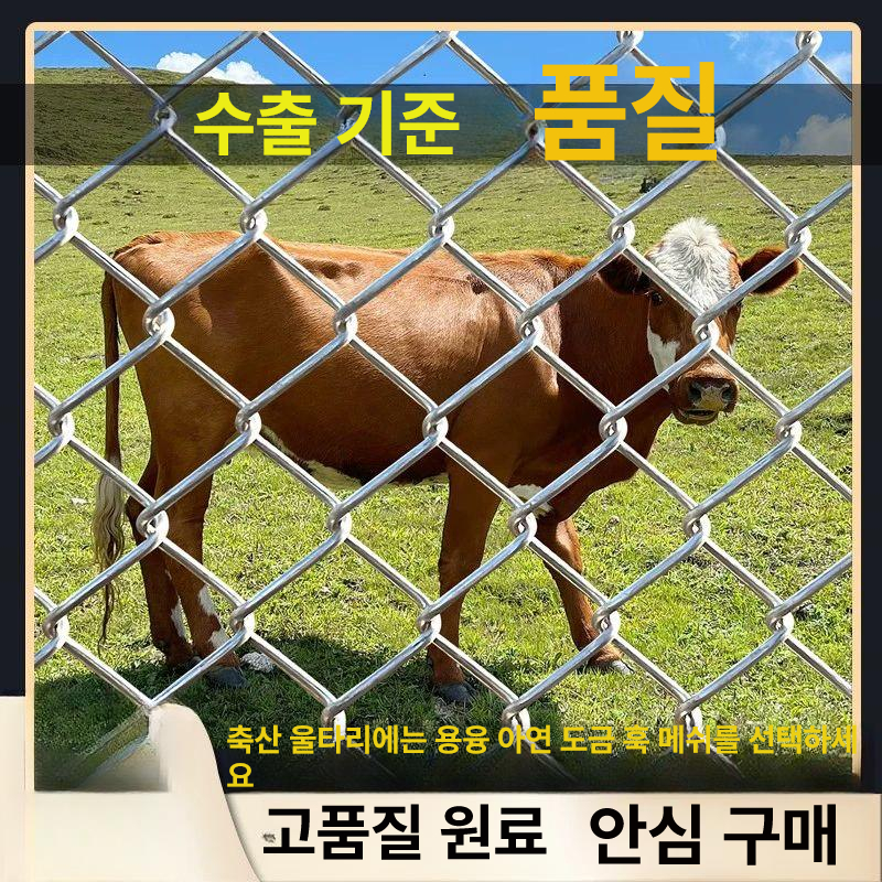 스텐 능형철망 울타리 꿩망 야생 구멍 펜스 가설 투견 능형망 양계망 안전망 - 상세 이미지 3