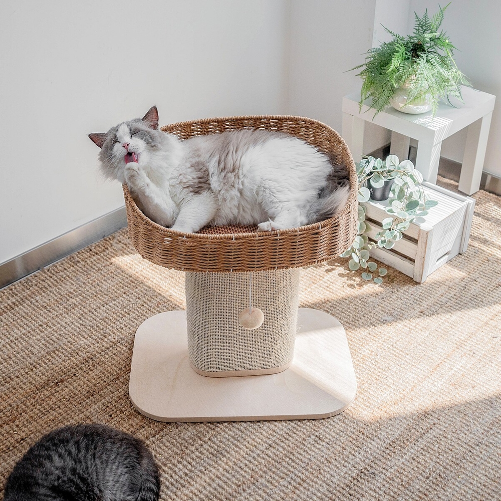 고양이 핸드메이드 라탄바구니 침대 스크래쳐 기둥 통기성 좋은 타워형 캣베드 오프화이트 - 상세 이미지 3