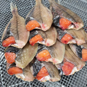 동광수산 동해  영덕 참 가자미 물 고등어 살  도루묵 반건조 생선 미주... 맛있게 먹은 솔직 후기 - 상품 이미지 1