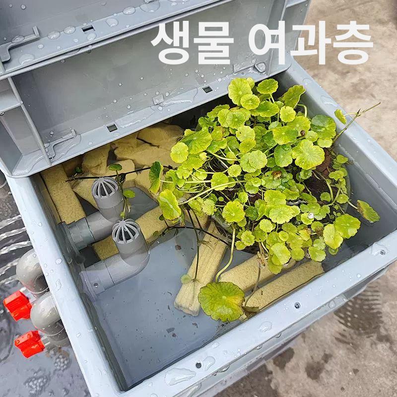 터틀텁 거북이사육장 도마뱀 패키지 은신처 그레이 사육용 어항 놀이터 거북이키우기 - 상세 이미지 5