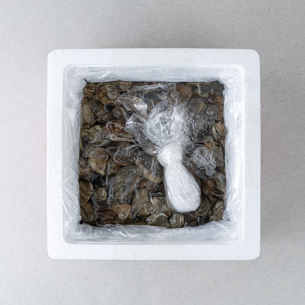산지직송 국내산 활 바지락 선별 세척 조개 생물 1kg 이미지 8