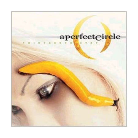 [해외](수입 LP) A Perfect Circle Thirteenth Step [New Vinyl LP]