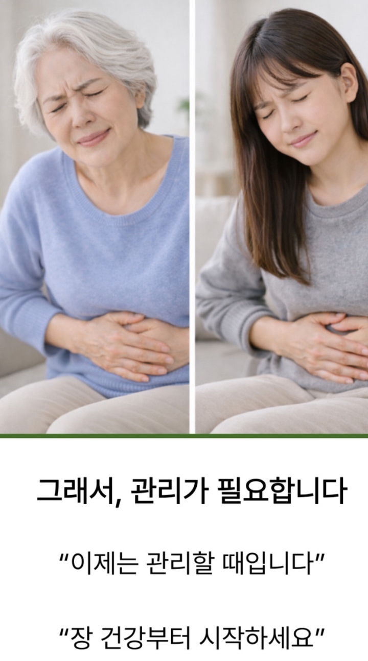 BNR17 비에날씬 400mg x 60캡슐 3개(3개월분) 이미지 6
