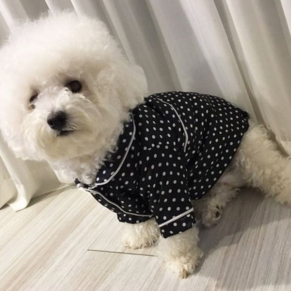 반려동물 강아지 잠옷 상하의 강아지 파자마 투피스 실내복 여름 - 상품 이미지