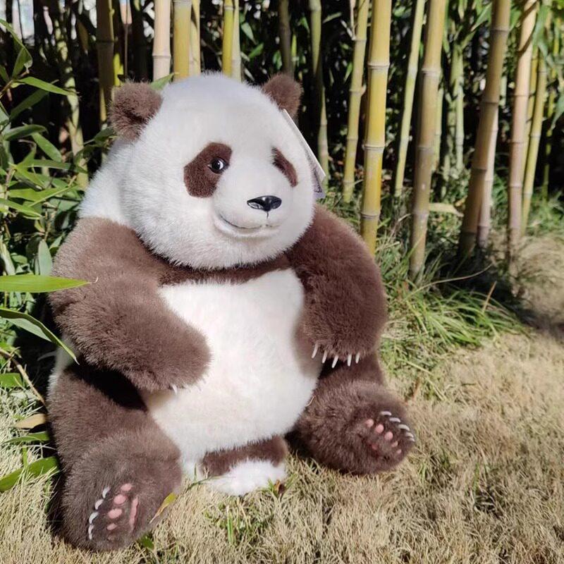 판다 인형 치짜이 갈색 대형 동물 곰인형 장난감 선물 - 상세 이미지 3