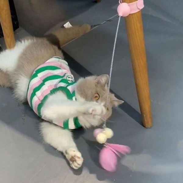 반려묘 고양이 낚시대 유인 고양이 깃털 장난감 놀이 낚시 - 상품 이미지