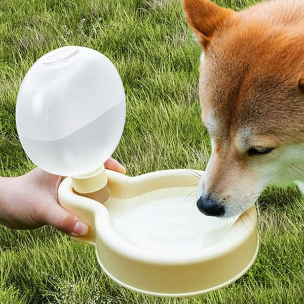 야외용 강아지 휴대용 물병 급수기 강아지산책 물병 반려동물 애견 - 상품 이미지