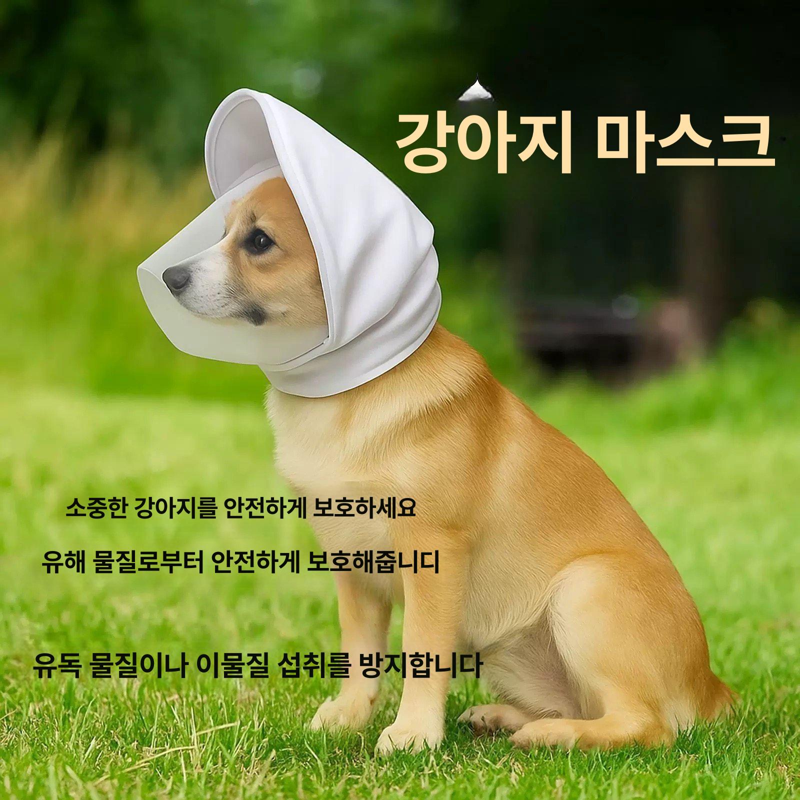 강아지 얼굴망 페이스커버 방지 해충방지 - 상세 이미지 2