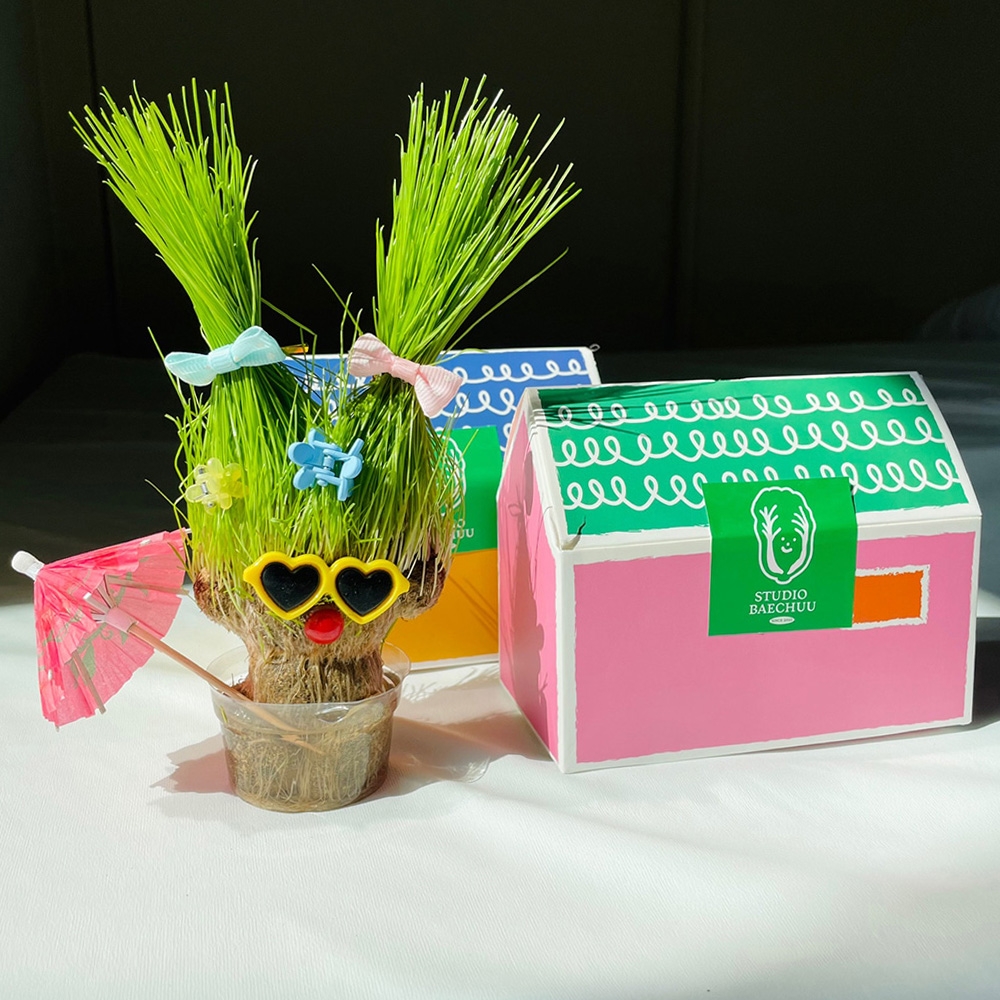 [자연관찰] DIY 잔디인형 키우기 키트, 반려식물 토피어리 화분 꾸미기 세트 - 상품 이미지