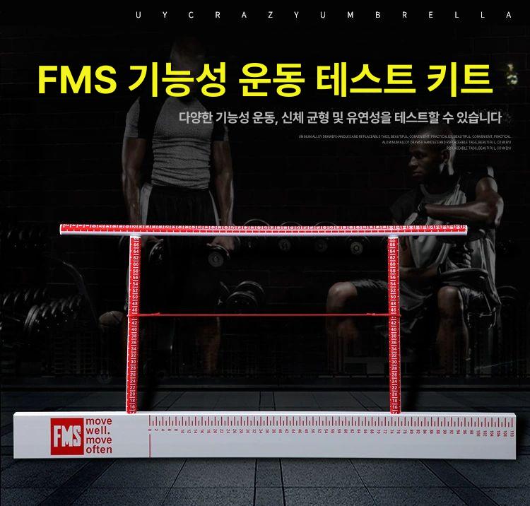 발란스 테스트키트 ybt 검사 체형 측정 스포츠 프로브 신체 균형 밸런스 - 상세 이미지 2