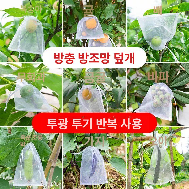 새방지 봉지 과수원 해충 딸기 블루베리 자두 보호망 그물망 농업용 포도 - 상세 이미지 2