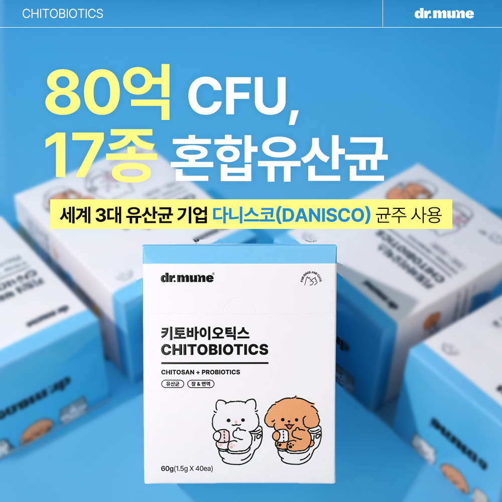 닥터뮨 키토바이오틱스 강아지 고양이 유산균 영양제 장&면역 프로바이오틱스 40p - 상세 이미지 3