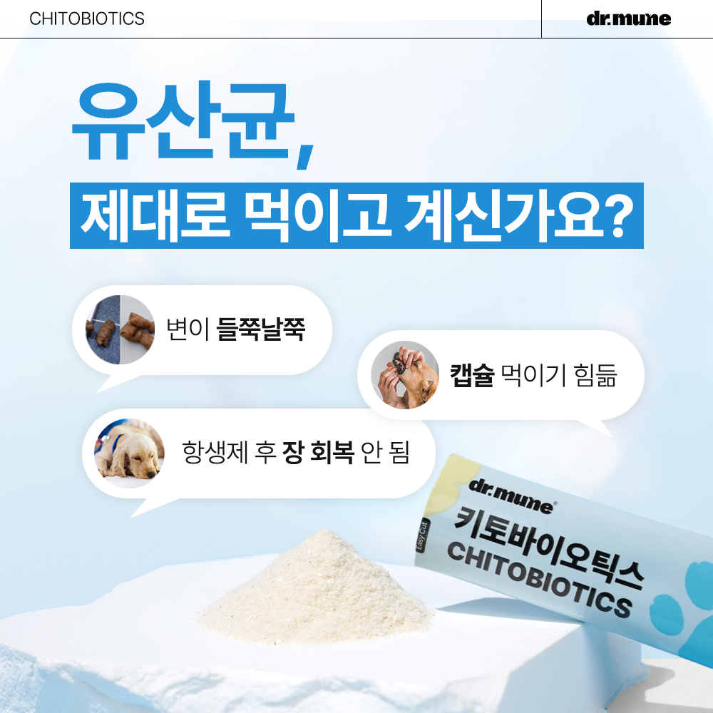 닥터뮨 키토바이오틱스 강아지 고양이 유산균 영양제 장&면역 프로바이오틱스 40p - 상세 이미지 2