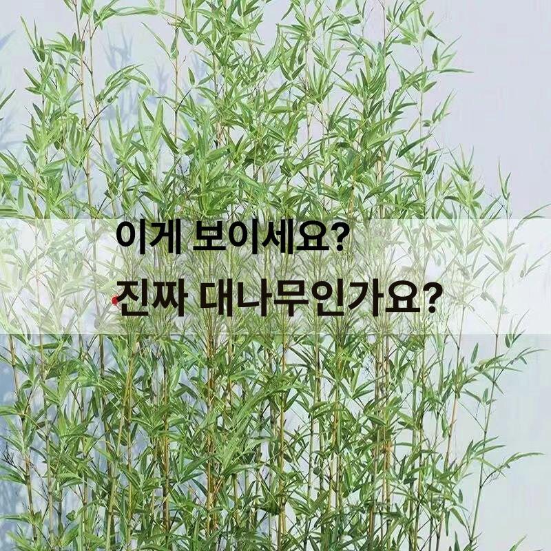 대나무조화 인조목 식물 소품 인테리어 가벽 사무실 야외정원 등나무 - 상세 이미지 2