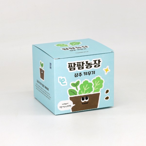 상추 모종 화분 식물 키우기 교육자료 유치원 어린이집 체험 미니텃밭 - 상품 이미지