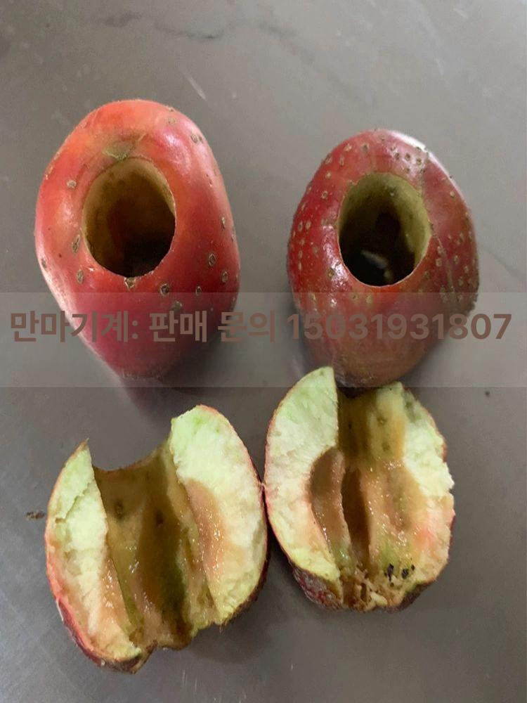 매실씨 분리기 제거기 빼는기계 대추씨 업소용 상업용 과일 핵제거 - 상세 이미지 5