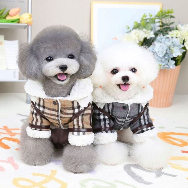 캐주얼 강아지 체크 자켓 반려견 강아지 자켓 소형견 겨울 - 상품 이미지