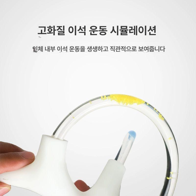 이비인후과 모형 반고리관 귀 달팽이관 교육용 해부학 의학교구 - 상세 이미지 3