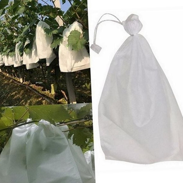 식물용 과수 재배 주머니 농업용 과일 재배 봉투 보호망 서리 - 상품 이미지