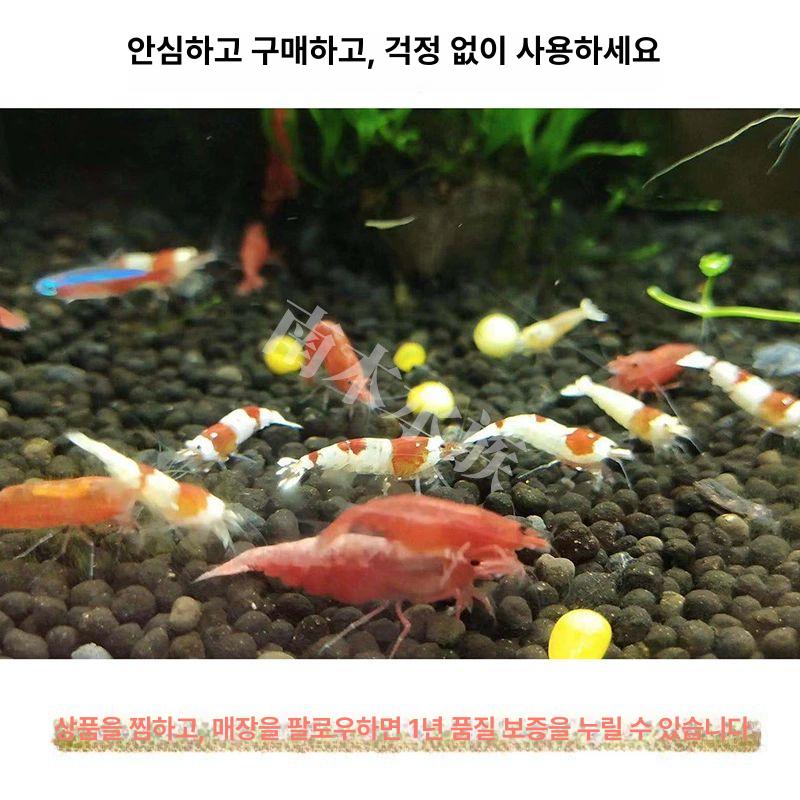 이산화탄소 이탄발생기 화학자작이탄기 레귤레이터 수초 고압 아쿠아 CO2 디퓨저 - 상세 이미지 5