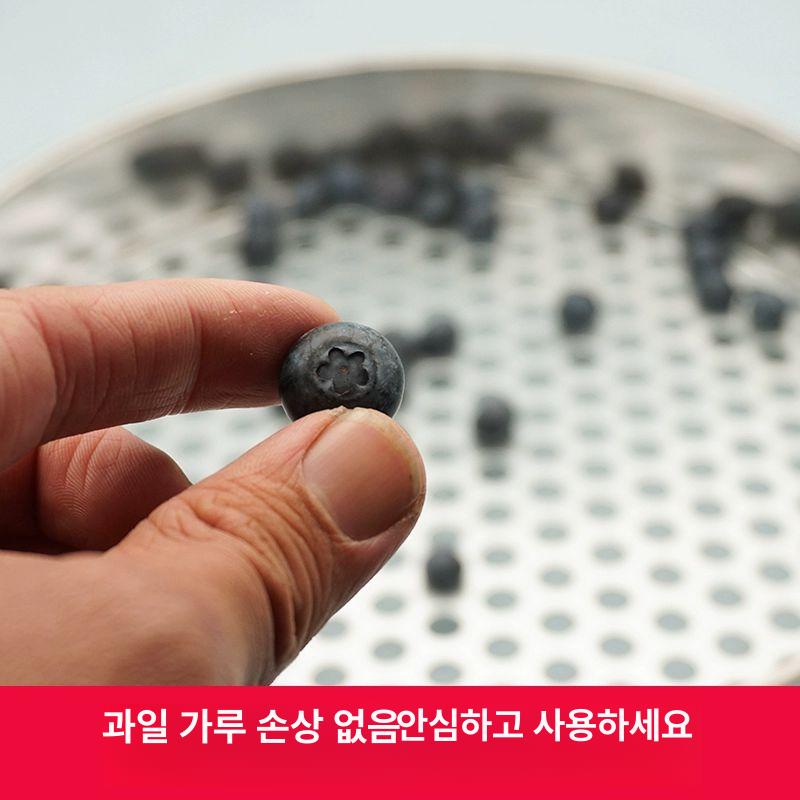 열매 선별기 블루베리 분류기 과일 체 거름망 농산물 채망 수확 - 상세 이미지 5