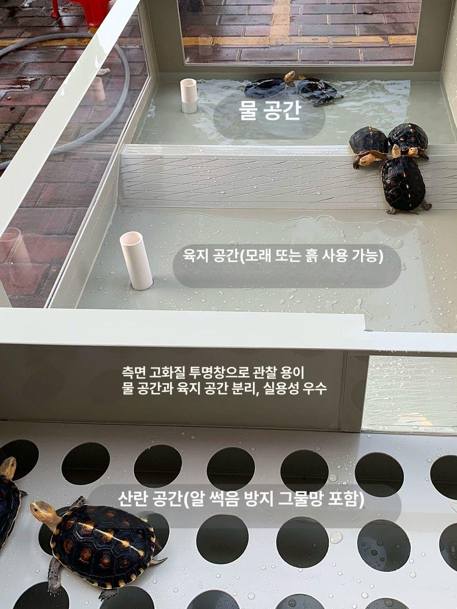 거북이 수조 반수생 파충류 배수 사육장 케이지 테라리움 전등 - 상세 이미지 3