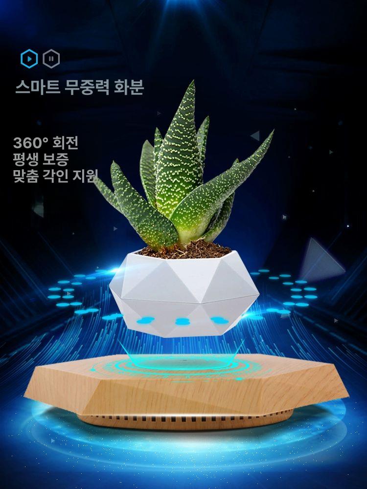 자기부상 화분 공중부양 원형 플로팅 플랜트 인테리어 식물 장식용 - 상세 이미지 4
