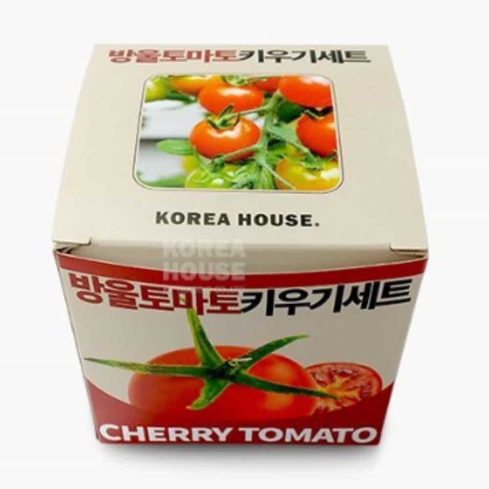 키우기 세트 방울토마토 방울토마토씨앗 유치원원예 - 상품 이미지