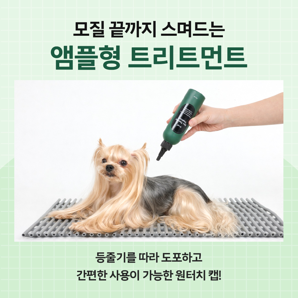 강아지 피부 관리 딥클렌징 추천 바이랩 스킨 테라피 온열 스킨 케어 강아지 피부 후기