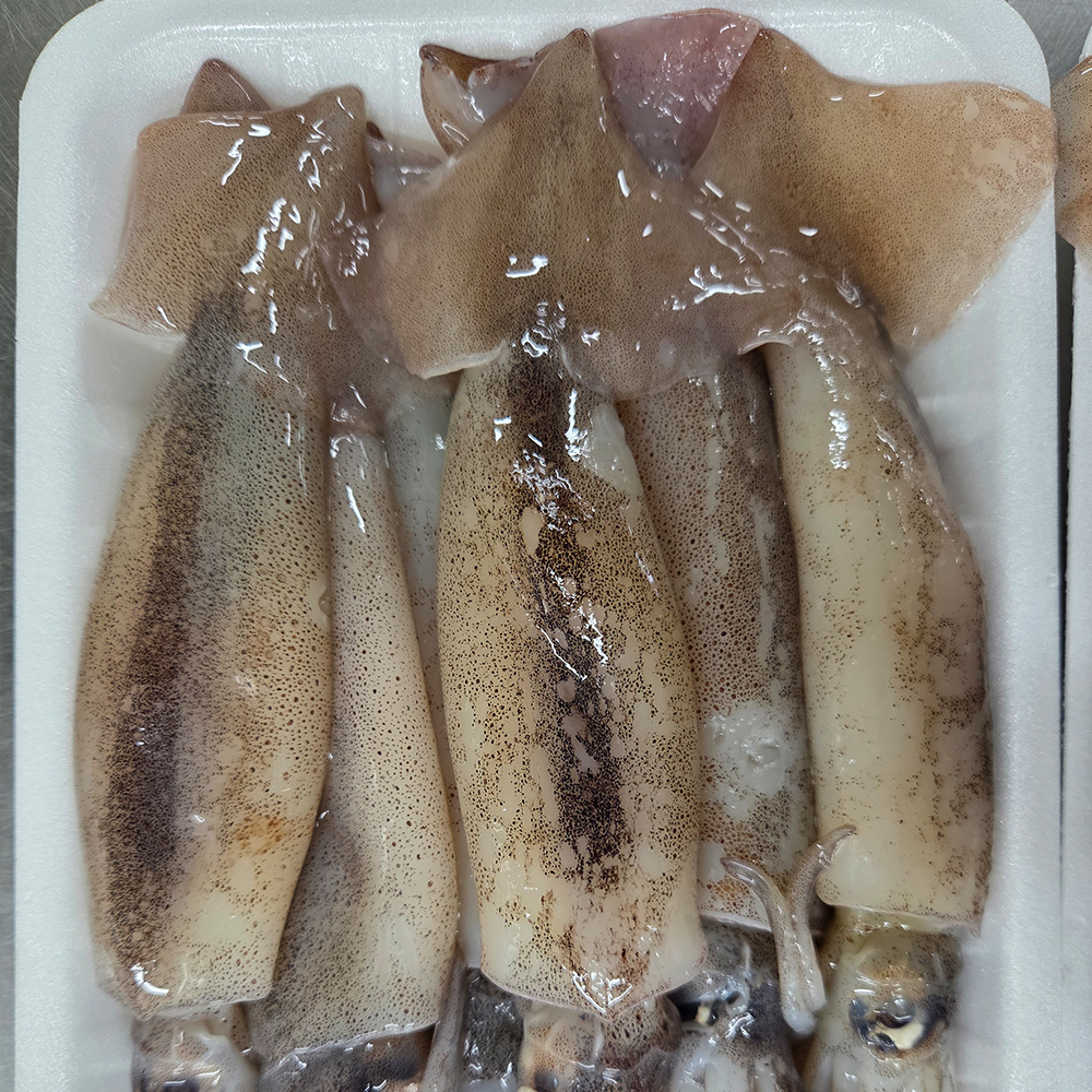 오징어 총알 통오징어찜 한치 미니 생물 원양산 통찜용 작은 회 1kg(8~10미) - 상세 이미지 2