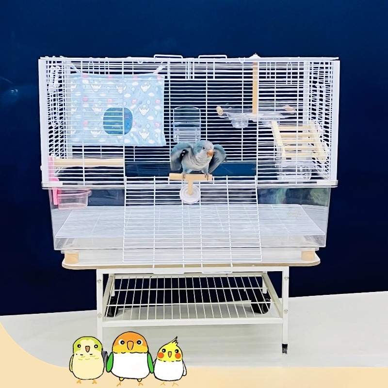 앵무새집 이동식 선반 청소쉬운 복층 투명 아크릴 하단 튼튼한 철망 새장 넓은 놀이터 - 상세 이미지 3