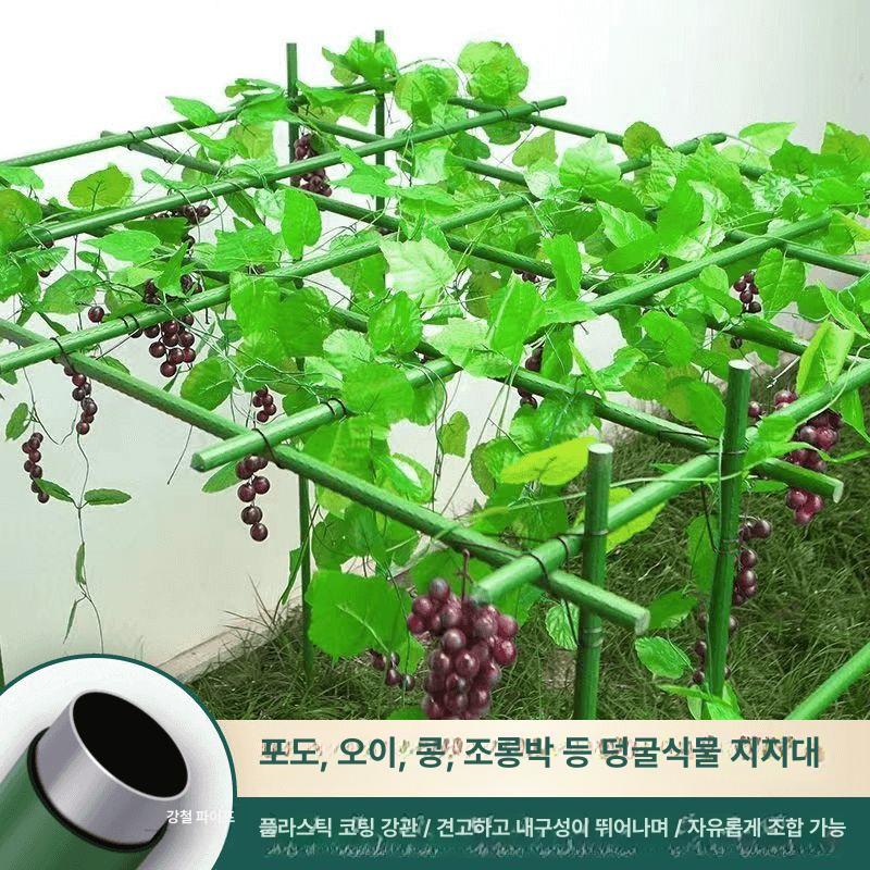 지지대 포도 넝쿨 오이 2m 원예 지주대 텃밭 덩쿨 식물 나무 호박 덩굴 포도 - 상세 이미지 2