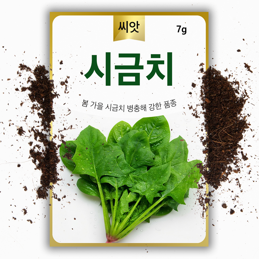 시금치씨앗 700립  채소 씨앗 시금치 씨 텃밭 종자 - 상품 이미지