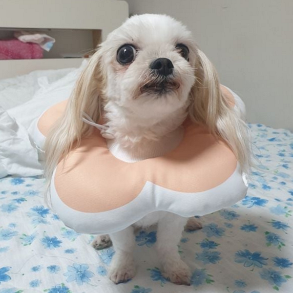 수술 강아지 넥 카라 미용 고양이 넥 카라 쿠션 반려동물 - 상품 이미지