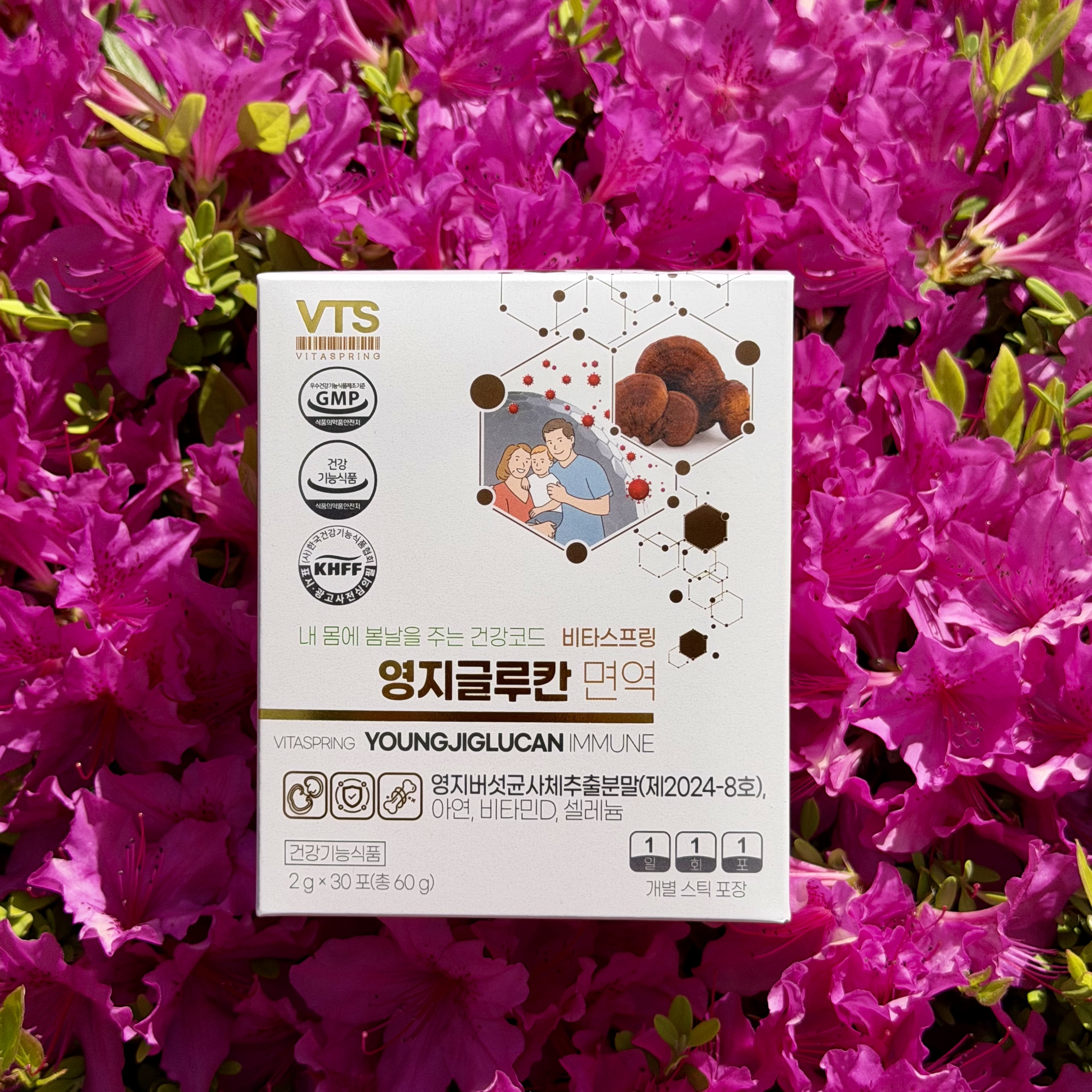 영지글루칸 면역 미숫가루 맛 30포 비타스프링 영지버섯균사체 추출분말 베타글루칸 아연 비타민D 셀레늄 - 상세 이미지 3