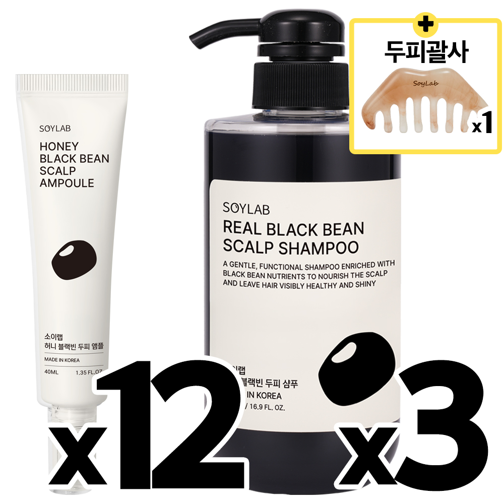두피 집중 12주 관리 세트(샴푸 3개+앰플 12개+괄사 1개) - 상품 이미지