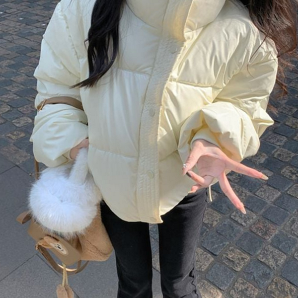 하이넥 여성 패딩 점퍼 레더 여자 숏 패딩 - 상품 이미지