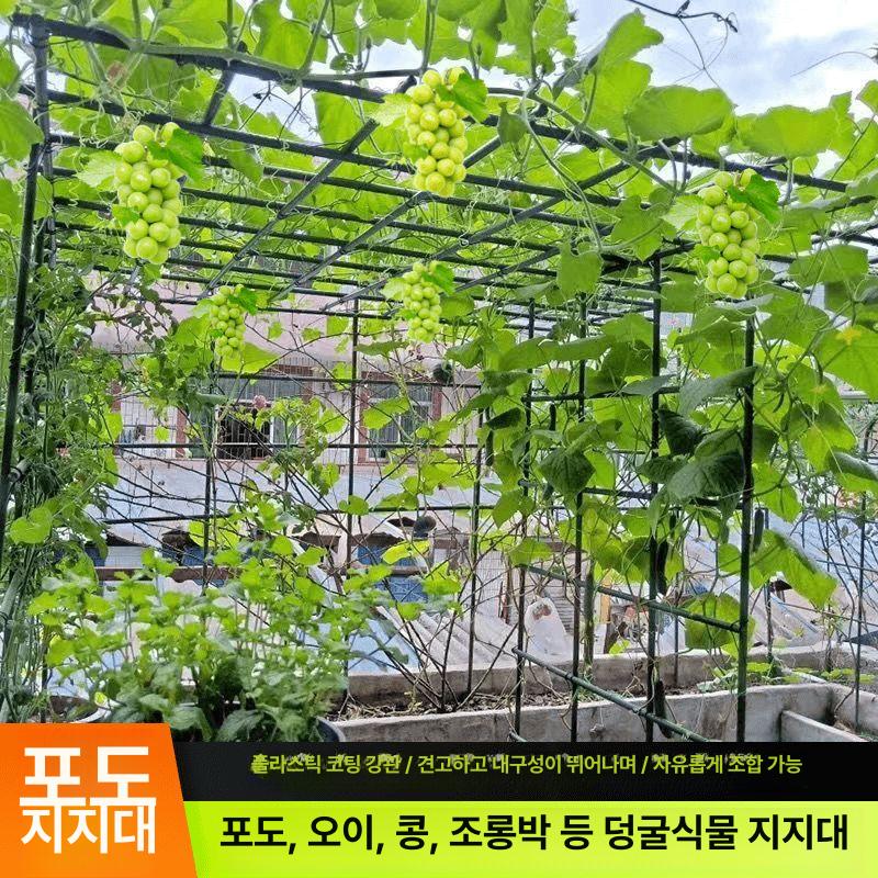 지지대 포도 넝쿨 오이 2m 원예 지주대 텃밭 덩쿨 식물 나무 호박 덩굴 포도 - 상세 이미지 4