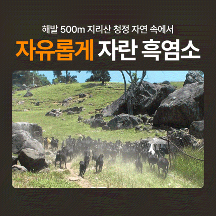 강복자 흑염소 진액 엑기스 스틱 60ml 30팩 지리산 흑염소즙 효능 판매처 상세 정보 이미지 2
