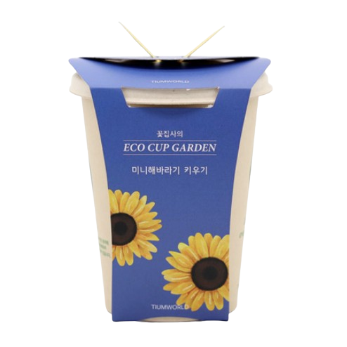 해바라기 식물 재배 키트 세트 학습 학교 교구 씨앗 활동 화분 키우기 기르기 선물 교재 - 상품 이미지