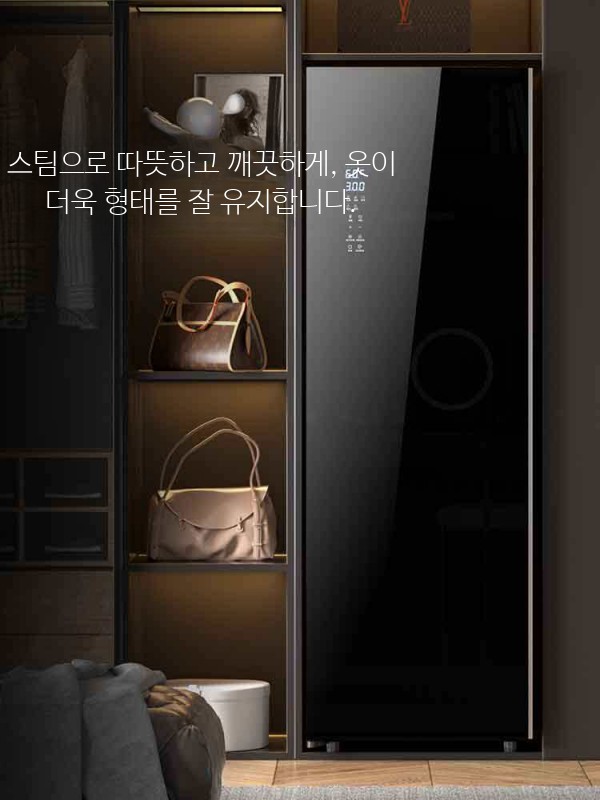의류관리기 가정용 건조기 소형 휴대용 다림질 세탁기 건조 일체형 관리기 - 상품 이미지