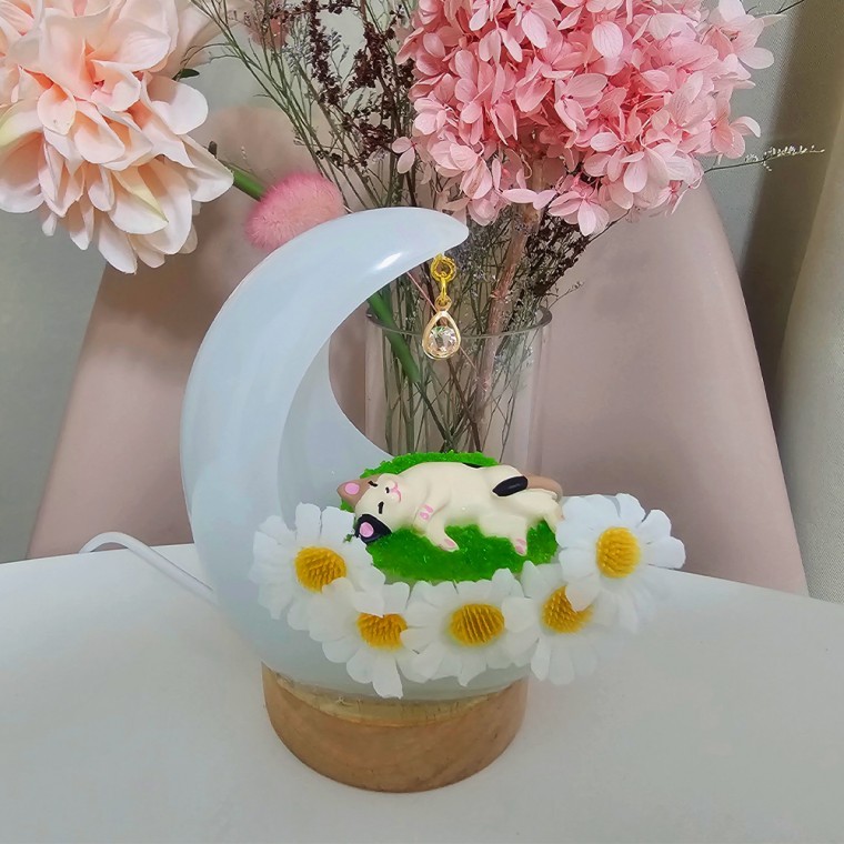 달냥이 무드등 수유등 침실 인테리어 취침등 신혼부부 이사 집들이 선물 조명 - 상품 이미지