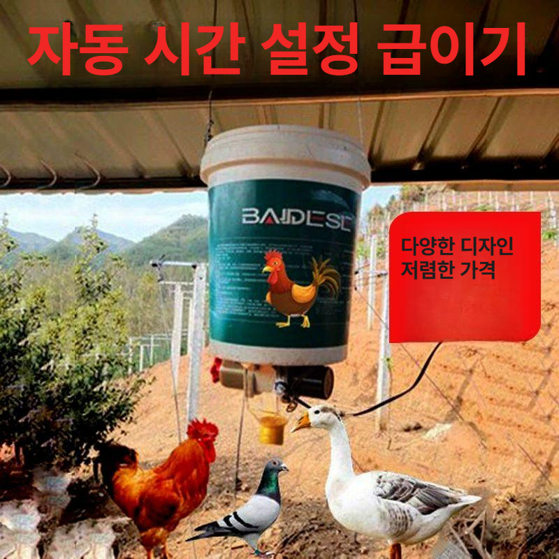 닭 오리 비둘기 거위 인큐베이터 조류 메추리 가금류 계란 전자동 공작 양계장 모이통 먹이 - 상세 이미지 2
