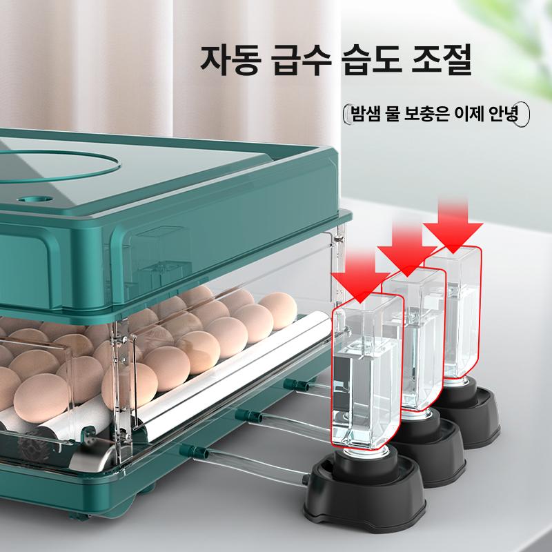 병아리 자동 부화기 키우기 오리 달걀 육추기 스마트 36알 전자동 단일 전원 + 날짜 표시 - 상세 이미지 2